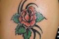 Studio Tatuau "tribal Tattoo"